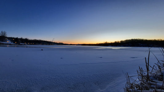 2022-01-03 (Vue Q1) Aube