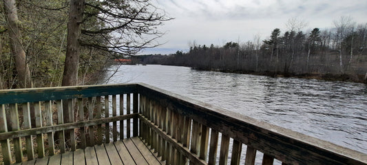 Riviere Magog (Vue Patio)