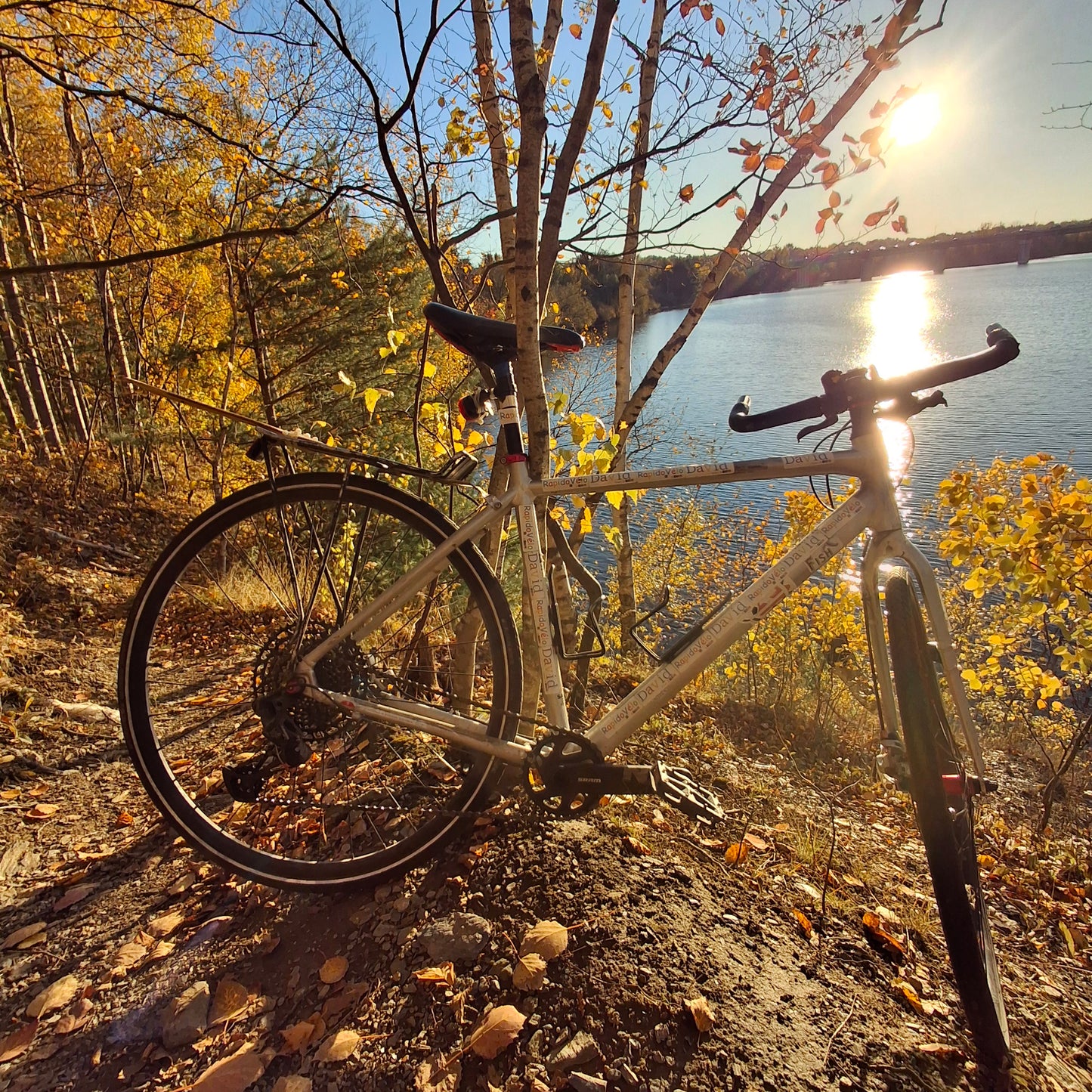 2024-10-17 16:57 Trouve le Rapido vélo(Vue 2.3)