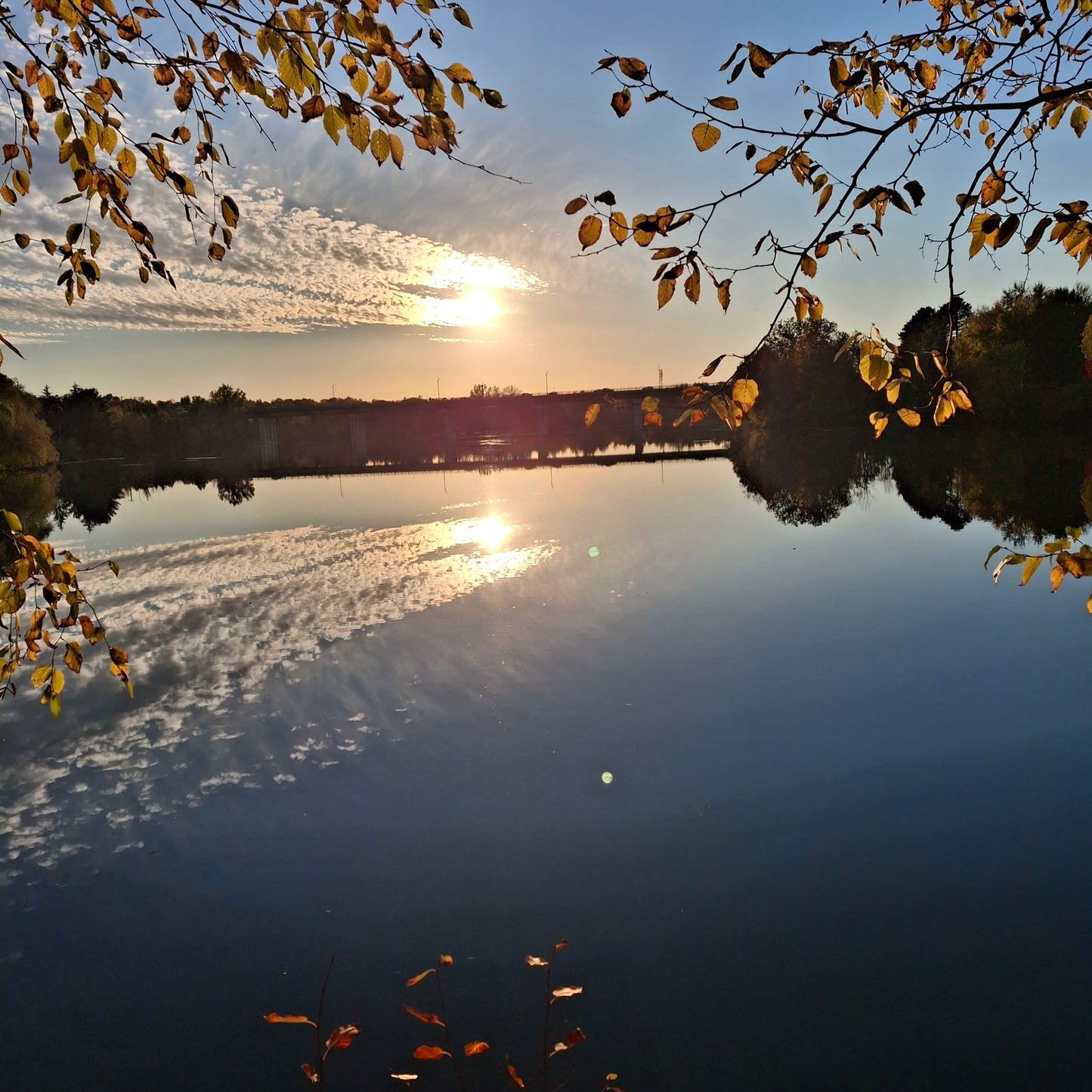 2025-10-11 17:29 (View 2.3)