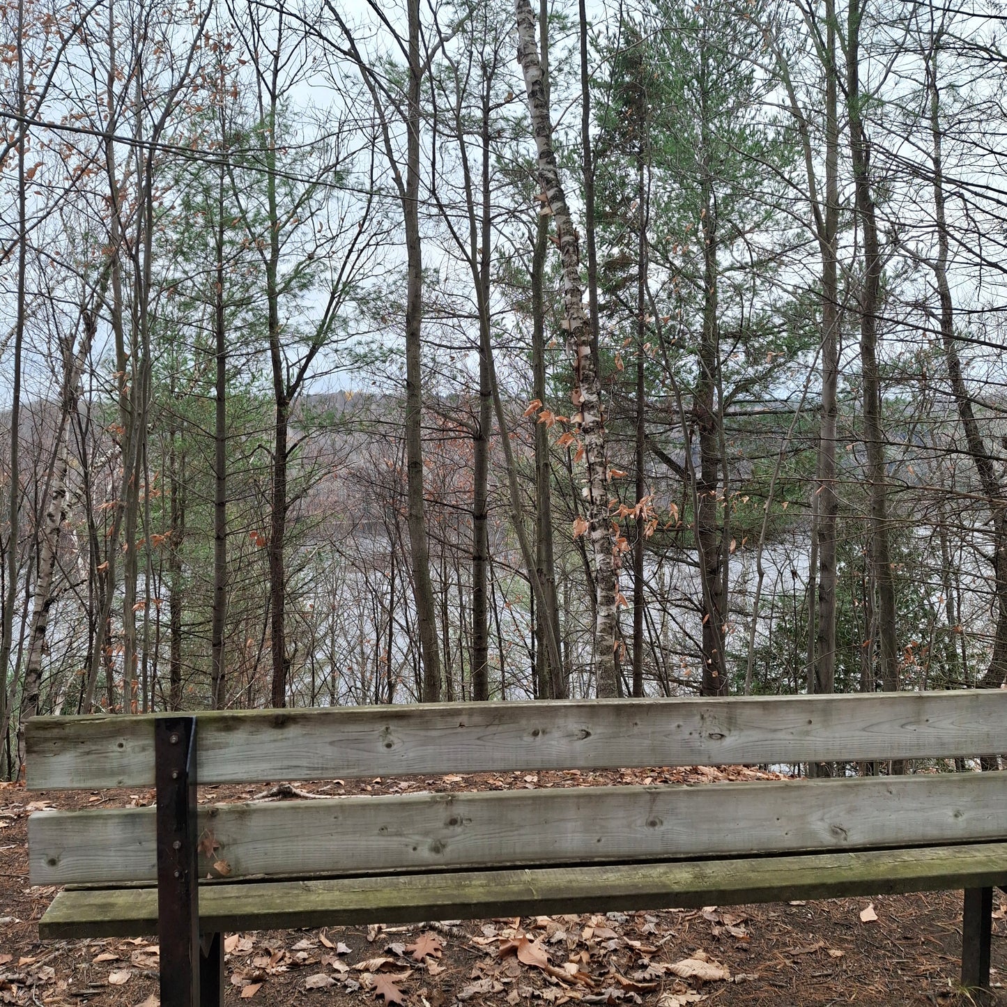 La Gabelle Trail