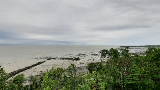 Vue Auberge De La Pointe Rivière-Du-Loup 1 Juillet 2021 (Jour 9)