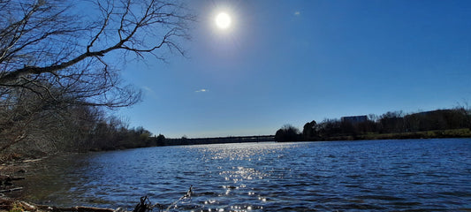 2022-04-28 (Vue 1) Trouve Le Soleil