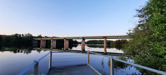 2022-07-09 (Vue T1)