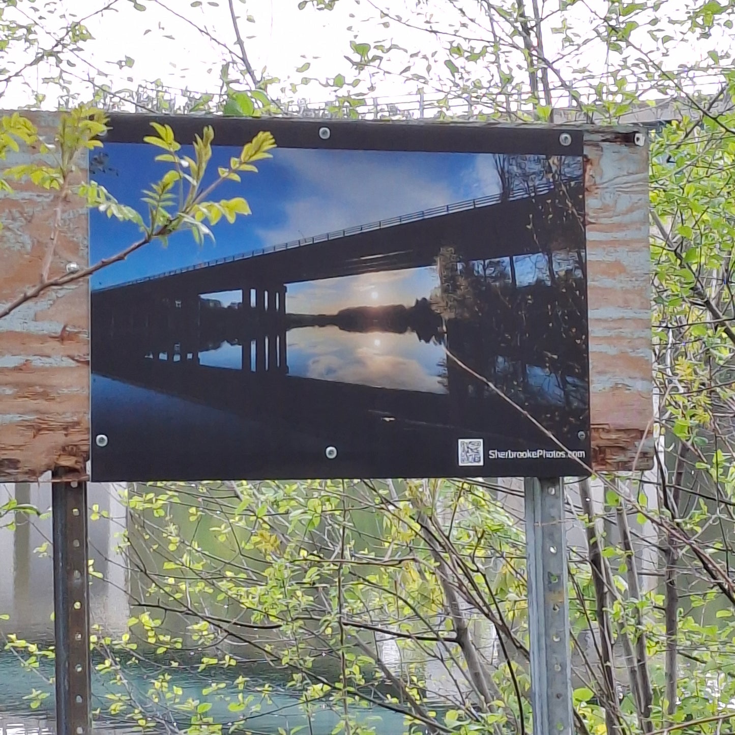 2025-05-24 The Jacques-Cartier Bridge (View T1)