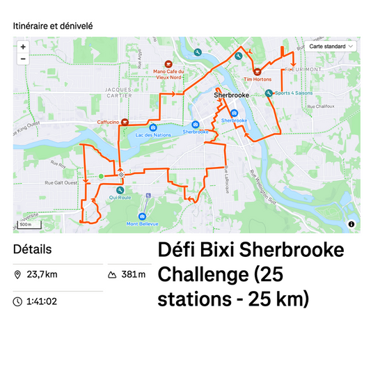 Bixi Sherbrooke