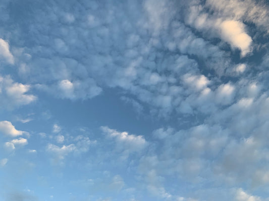La TĂŞte Dans Les Nuages 30 Mai 2021