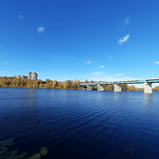 2022-10-08 Pont Jacques-Cartier (Vue T1) #animation